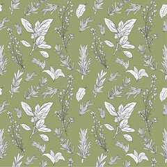 Herbs seamless pattern