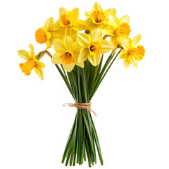Fototapeta premium A bouquet of yellow daffodils with green stems and leaves, tied with a string.