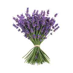 Obraz premium A bouquet of lavender flowers on a transparent background