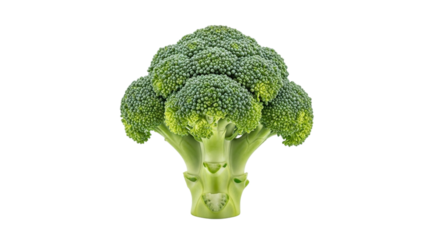 Closeup of a fresh green broccoli floret isolated on transparent background, showcasing its vibrant color and intricate texture for healthy eating