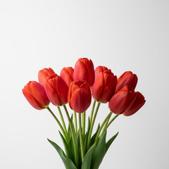 Naklejka premium A conceptual and minimalist close-up of a vibrant bouquet of red tulips, isolated on a stark white background 77y