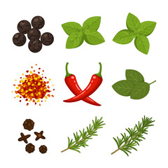 Assortment of nine distinct spice and herb illustrations against a white background
