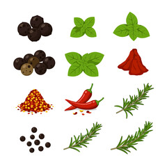 Collection of nine vector illustrations of various spices and herbs