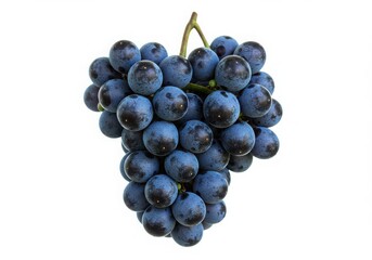 Cluster of blue grapes isolated on white background