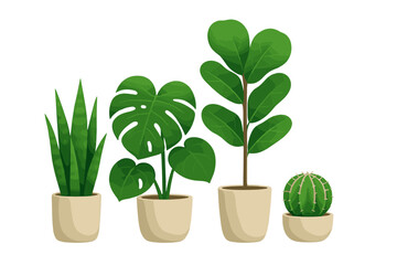Various indoor plants in stylish pots arranged in a row on a neutral background