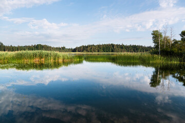 Weisse Wolken vor blauem Himmel spiegeln sich im Wasser des Fohnsees vor Schilfgraszonen an einem sonnigen Sommertag, Bayern, Deutschland
