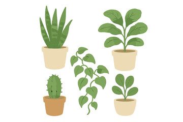 Fototapeta premium Collection of indoor plants in various pots showcased in a simple design for home decor