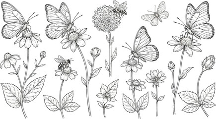 Butterfly and bee line art illustration vector drawing nature insects flowers
