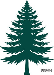 Obraz premium a-eastern-white-pine-tree-silhouette-vector design