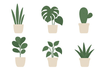 Various indoor plants arranged in simple pots for a clean and modern aesthetic in home decor