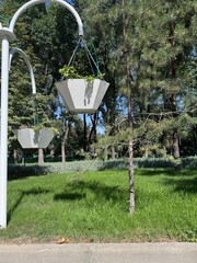 wheelbarrow in a garden