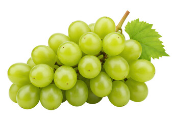 Isolated bunch of ripe green grapes with leaf on stem, tasty, delicious fruit