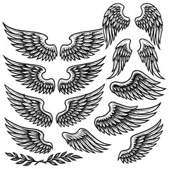 Set of detailed angel wings and feathered wing illustrations in black engraving style, Transparent  Background