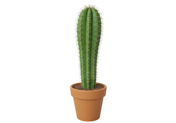 Isolated Potted Cactus Plant in Clay Pot_indoor potted plant, decoration, simple houseplant