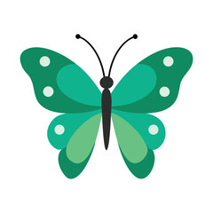 Beautiful emerald green butterfly vector illustration scalable nature art icon Vector