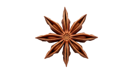 Isolated star anise spice pod with seeds, culinary flavoring ingredient in cooking