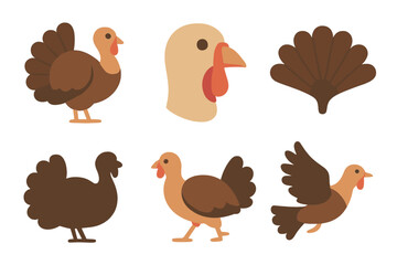 Neo-Flat Turkey Icons. Basic Turkey Bird set of icons in neo-flat style: standing turkey, turkey head, feather fan, turkey silhouette, walking turkey,