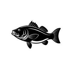 vector illustration of a fish