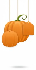 Two orange pumpkins hanging with blank tags on white background