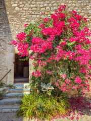 Facade of a house with flowers in the French Riviera