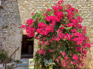 Facade of a house with flowers in the French Riviera