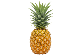 Isolated Tropical Pineapple Fruit, Exotic Vitamin Rich Food, Nutritious Diet, Healthy Dessert