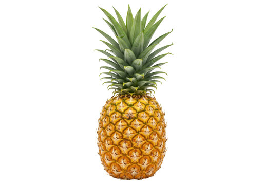 Isolated Tropical Pineapple Fruit, Exotic Vitamin Rich Food, Nutritious Diet, Healthy Dessert