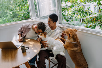 Obraz premium Caring for rescue dogs in a home setting