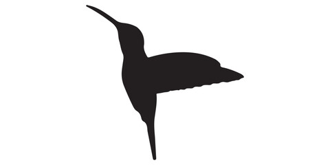 Hummingbird Silhouette Vector Illustration – Small Exotic Bird Design