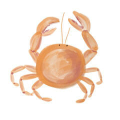 Hand drawn watercolor coastal sea themed illustration. Crab