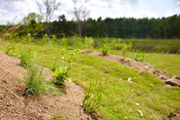 piscina al verano y al sol 