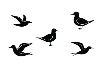 Set of different linocut styles of kittiwake