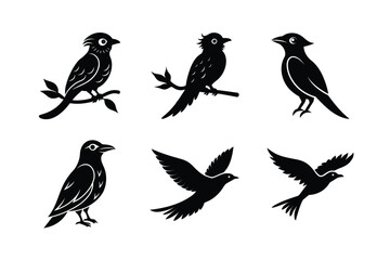Fototapeta premium Set of different linocut styles of crested barbet