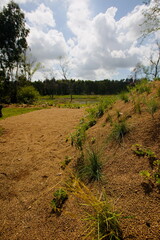 piscina al verano y al sol 