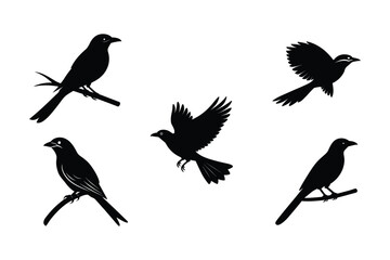 Set of different linocut styles of indian roller