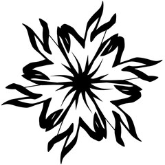 Black line floral 