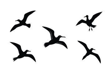 Set of different linocut styles of albatross
