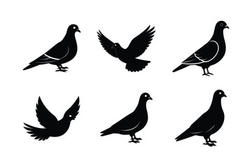 Set of different linocut styles of band tailed pigeon