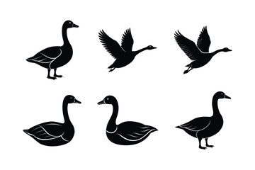 Set of different linocut styles of greylag goose