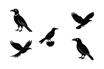 Set of different linocut styles of montezuma oropendola