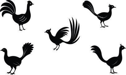Set of different linocut styles of lyrebird