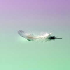 A delicate white feather rests gracefully on a gradient background, casting a subtle shadow, creating a serene and minimalist composition suitable for various applications .