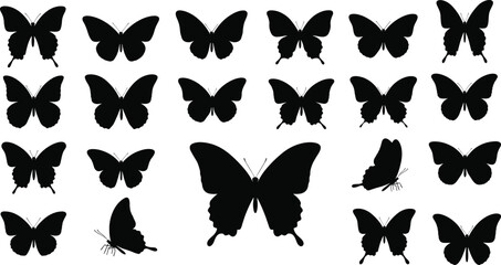 Animal paw print illustration, black and white design, solid and outline styles, pet tracking concept, wildlife symbol, graphic icon collection