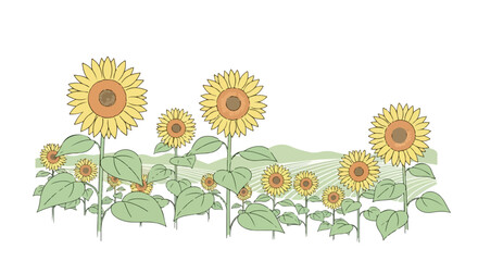 Vibrant Sunflowers in Full Bloom, Hand-Drawn Illustration.