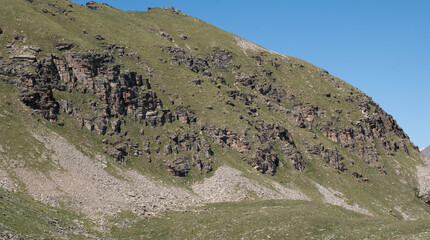 Natural variety found in an Alpine valley. Europe.
They were mainly taken in the Gran Paradiso valley, Italy. They were taken during a 7-day hike. From 1800 to 3100 meters altitude. 