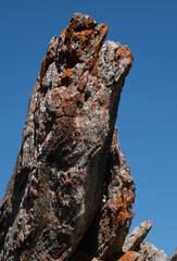 Natural variety found in an Alpine valley. Europe.
They were mainly taken in the Gran Paradiso valley, Italy. They were taken during a 7-day hike. From 1800 to 3100 meters altitude. 