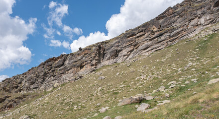 Natural variety found in an Alpine valley. Europe.
They were mainly taken in the Gran Paradiso valley, Italy. They were taken during a 7-day hike. From 1800 to 3100 meters altitude. 