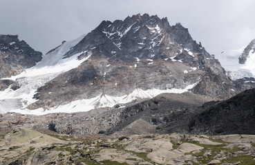 Natural variety found in an Alpine valley. Europe.
They were mainly taken in the Gran Paradiso valley, Italy. They were taken during a 7-day hike. From 1800 to 3100 meters altitude. 