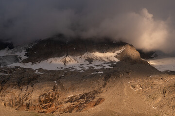 Natural variety found in an Alpine valley. Europe.
They were mainly taken in the Gran Paradiso valley, Italy. They were taken during a 7-day hike. From 1800 to 3100 meters altitude. 