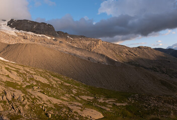 Natural variety found in an Alpine valley. Europe.
They were mainly taken in the Gran Paradiso valley, Italy. They were taken during a 7-day hike. From 1800 to 3100 meters altitude. 